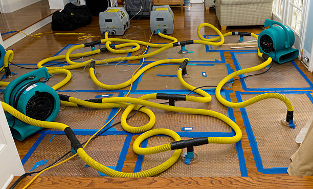 Professional Water Extraction technician working in Deerfield, OH